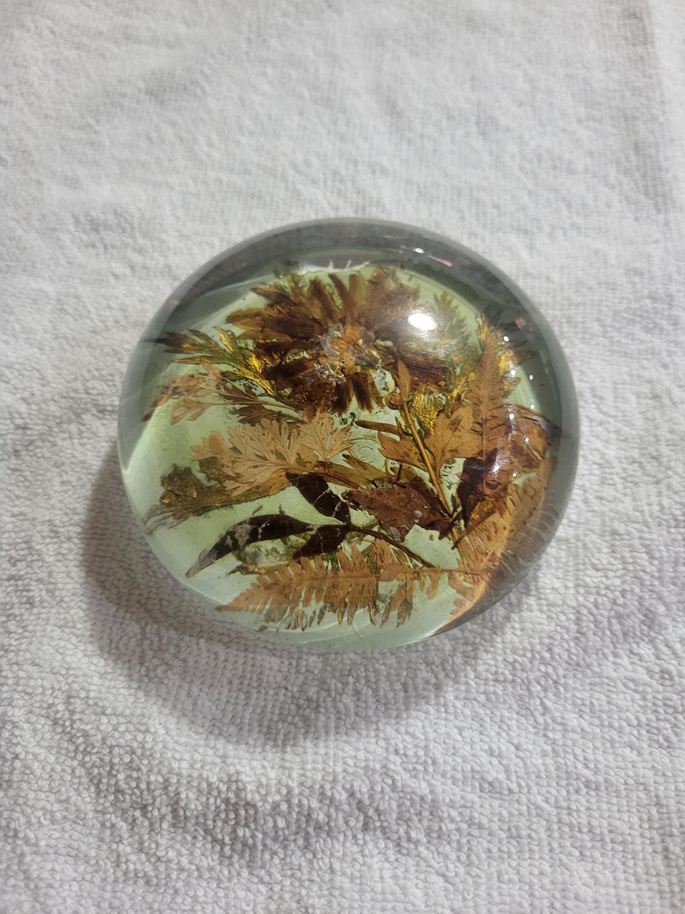 Botanical Glass Paperweight with Golden Ferns - Green